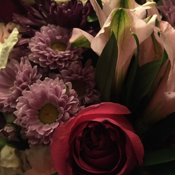 Meet your Posher, Paula - Picture 1 of 1